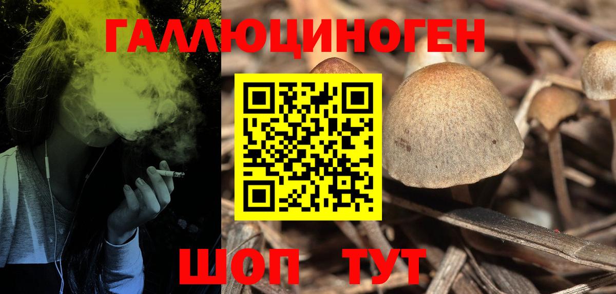 Галлюциногенные грибы GOLDEN TEACHER  Вход с VPN  Псилоцибиновые грибы Psilocybe  Строитель 