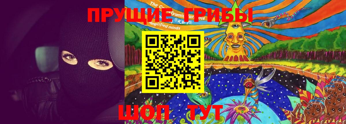 Галлюциногенные грибы Psilocybine cubensis Строитель